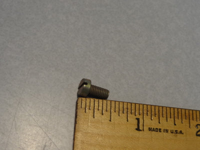 SCREW (#90056181)