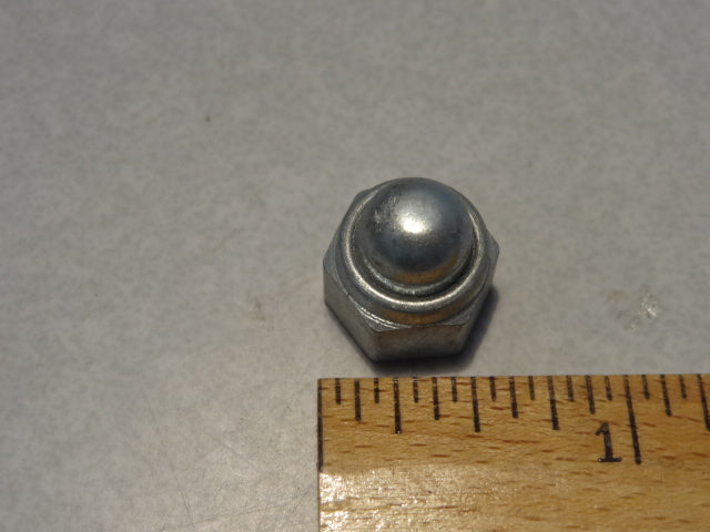 NUT (#92730082)