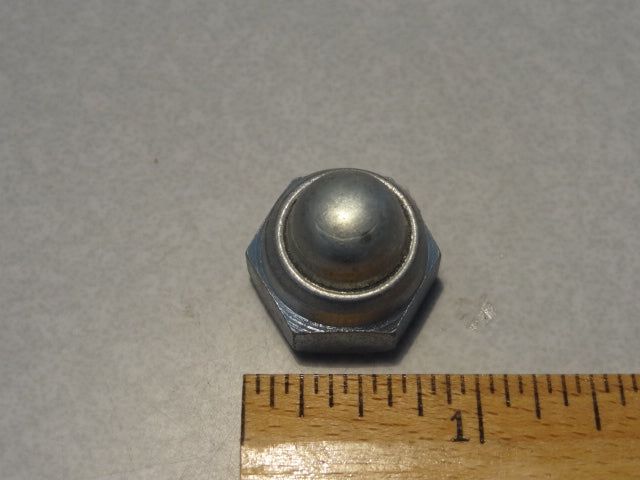 NUT (#92730121)