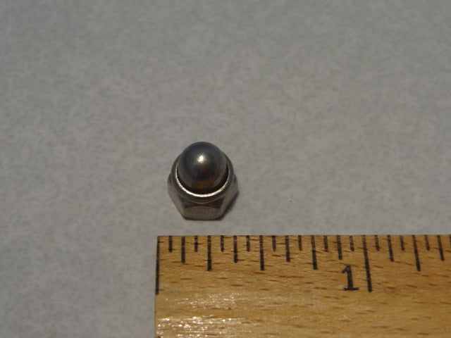 NUT (#92787205)