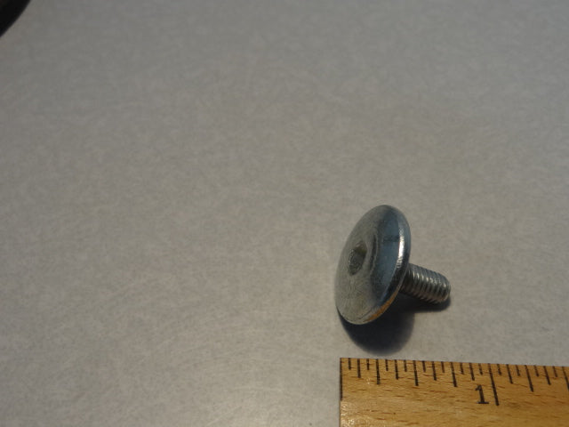 SPECIAL SCREW (#976591)