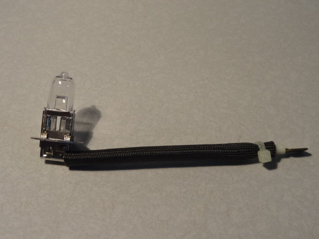 BULB & HARNESS (#981082)