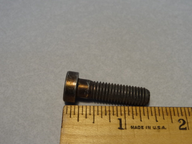 SCREW (#98830430)