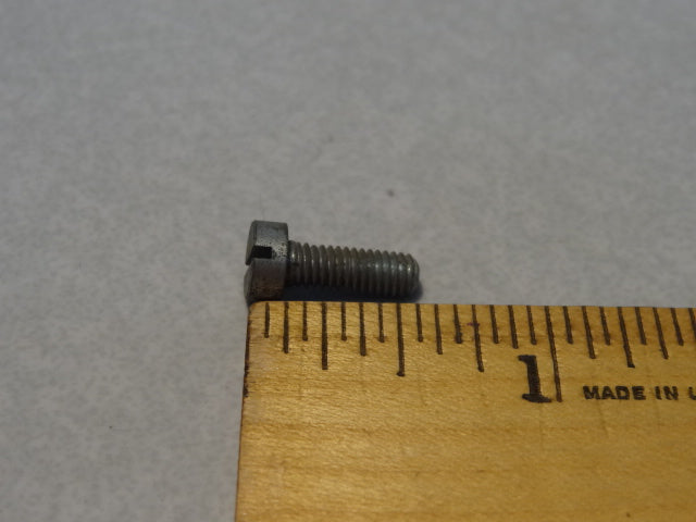 SCREW (#99110062)