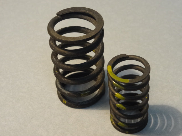 VALVE SPRING HD (#99993200)