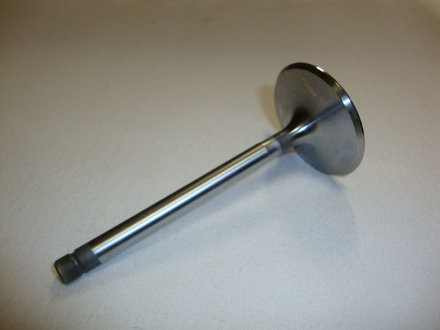 INTAKE VALVE (#28036060)