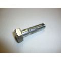 BOLT (#27636810)